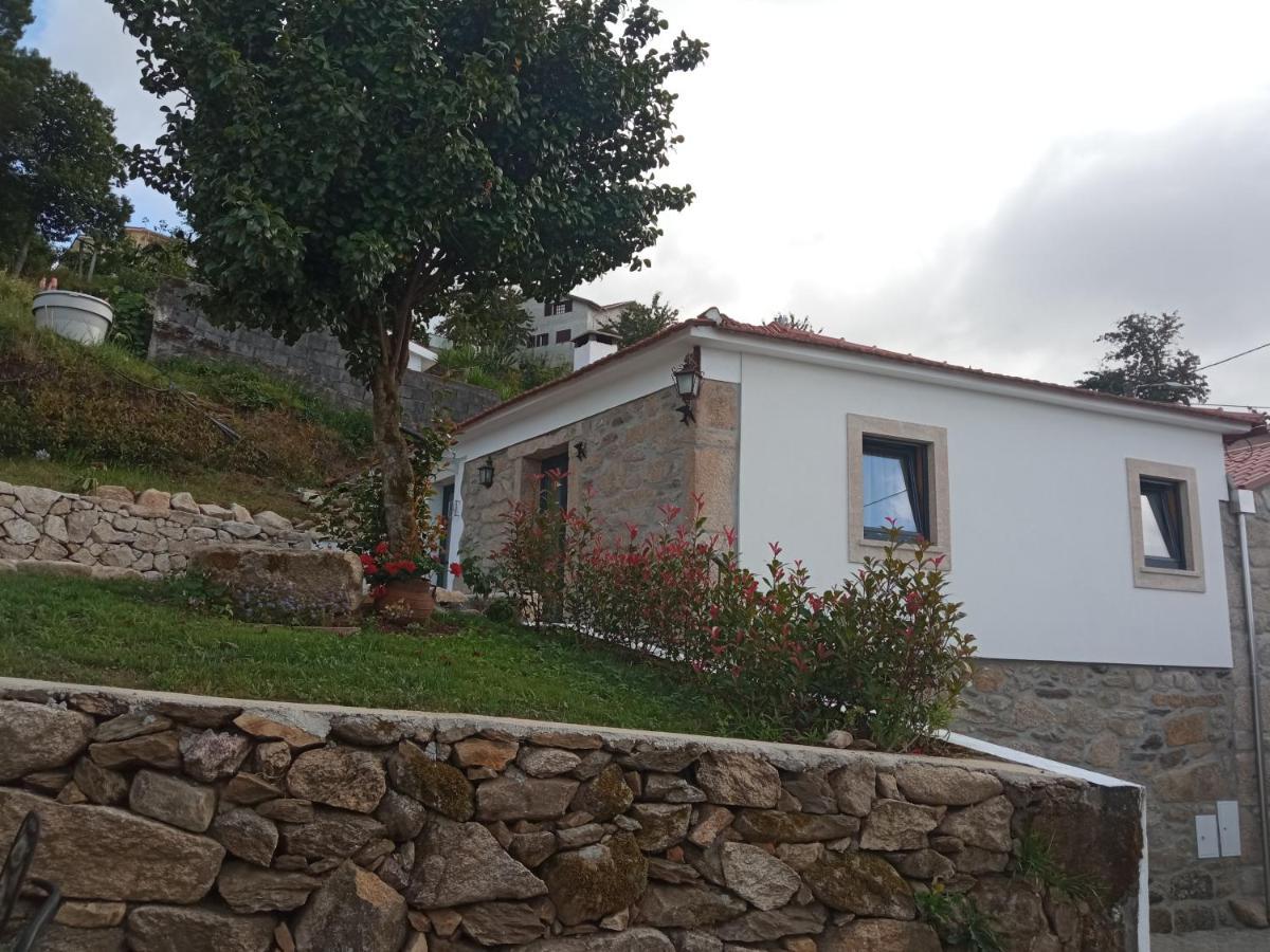 Casa Tia Vina - Serra Arouca Zewnętrze zdjęcie
