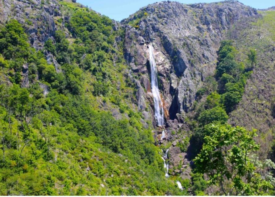 Casa Tia Vina - Serra Arouca Zewnętrze zdjęcie