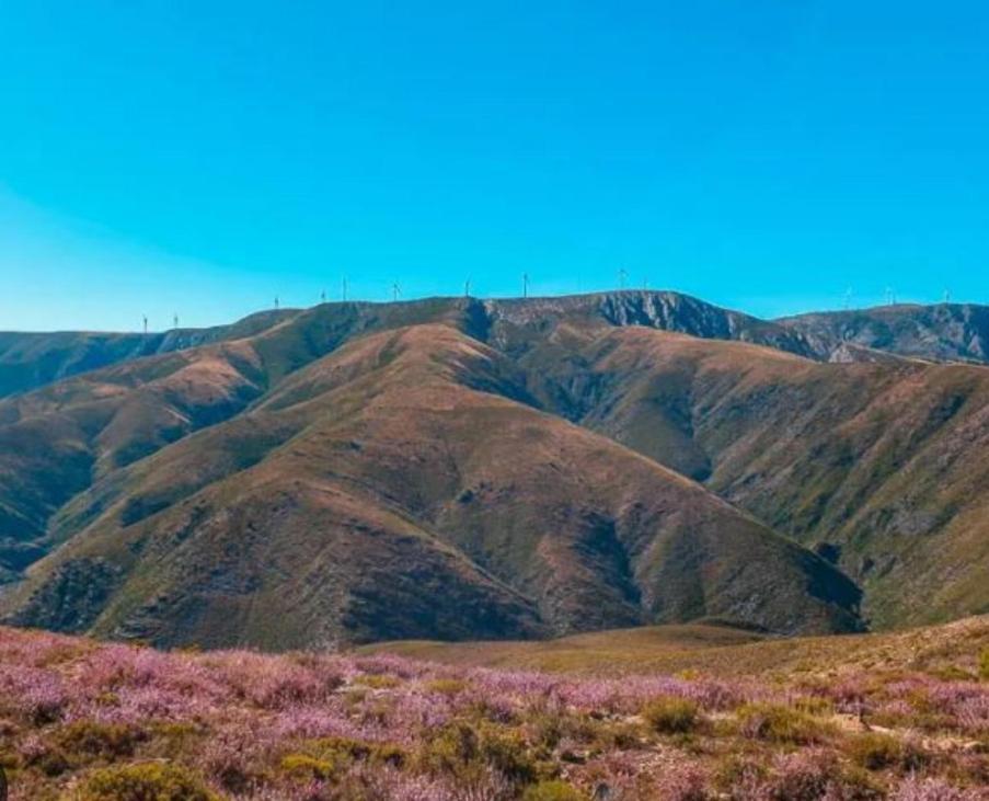 Casa Tia Vina - Serra Arouca Zewnętrze zdjęcie